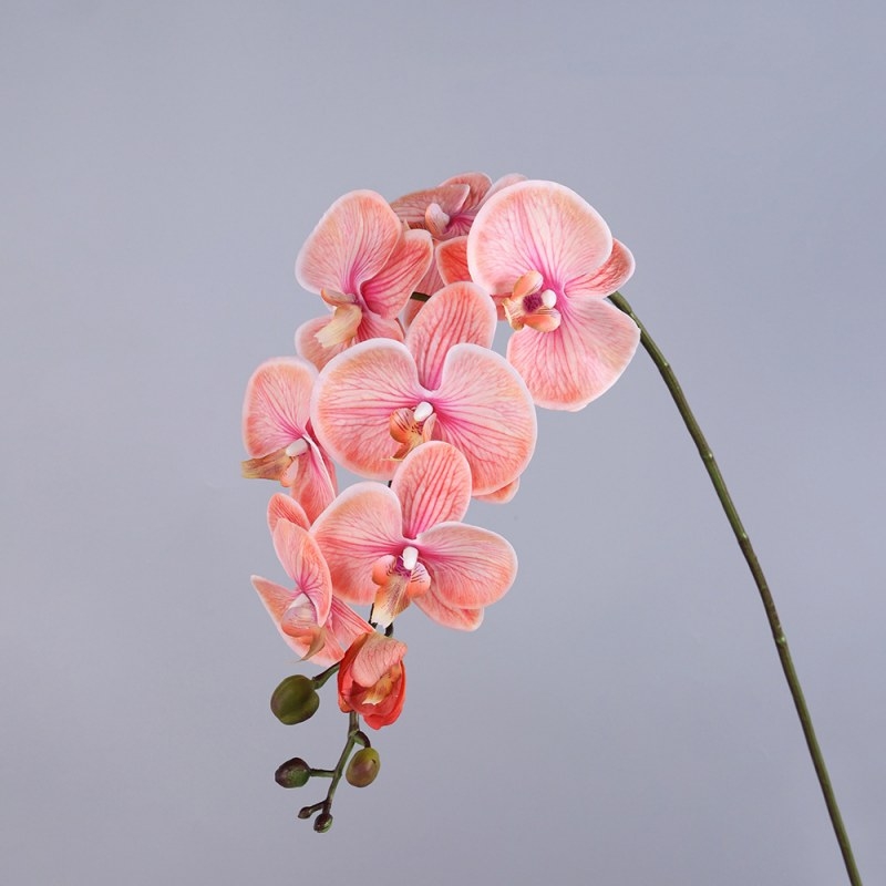 High-quality real touch Phalaenopsis orchid