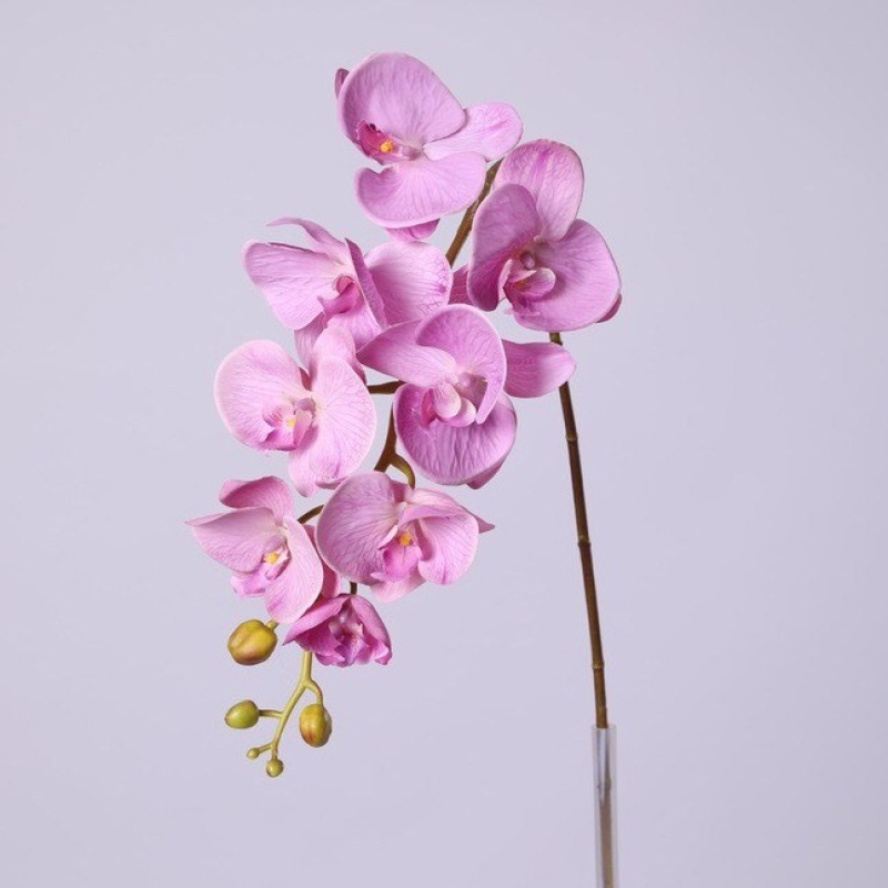 High-quality real touch Phalaenopsis orchid