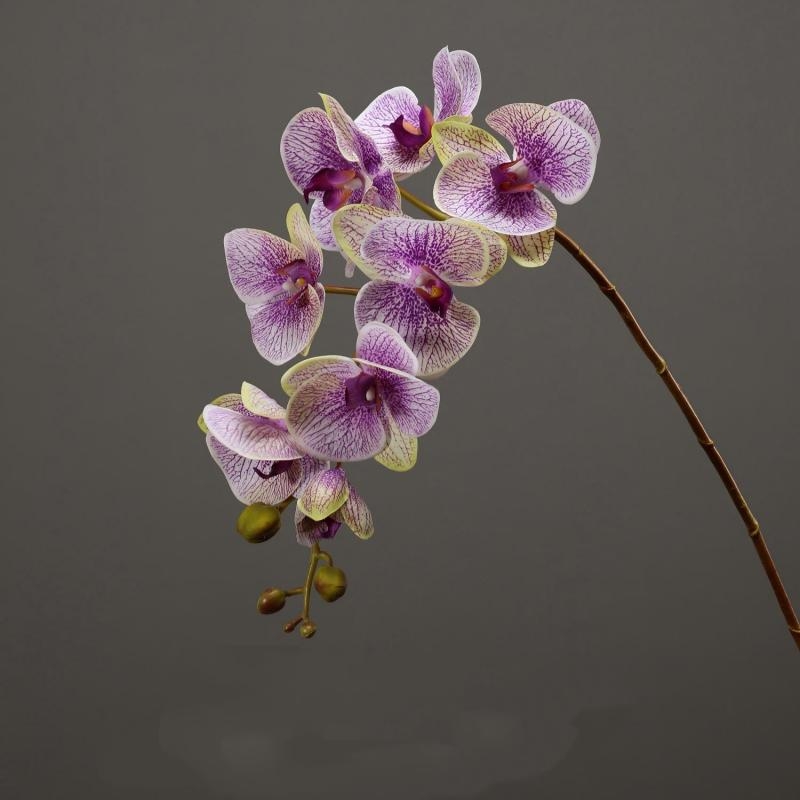 High-quality real touch Phalaenopsis orchid
