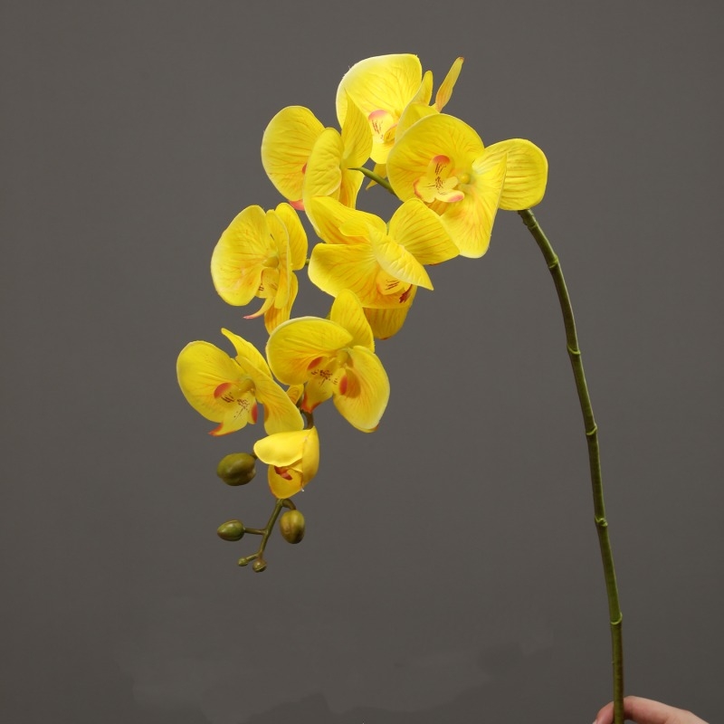 High-quality real touch Phalaenopsis orchid