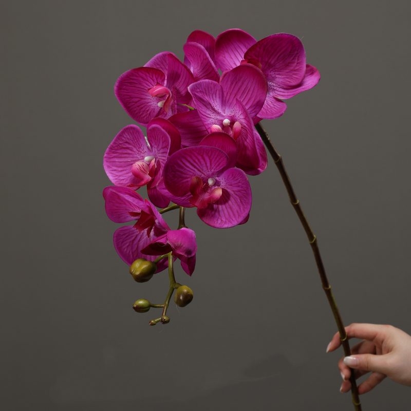 High-quality real touch Phalaenopsis orchid