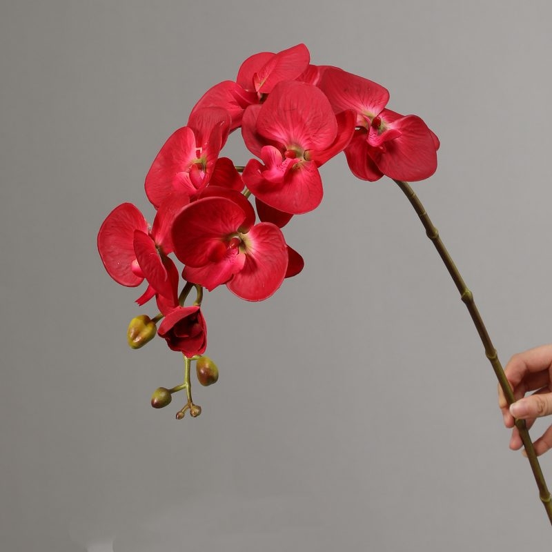 High-quality real touch Phalaenopsis orchid