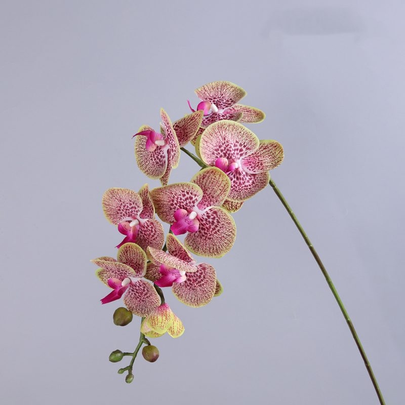 High-quality real touch Phalaenopsis orchid