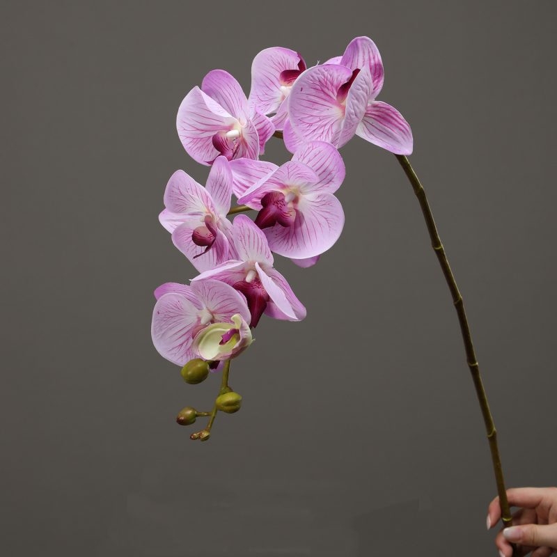 High-quality real touch Phalaenopsis orchid