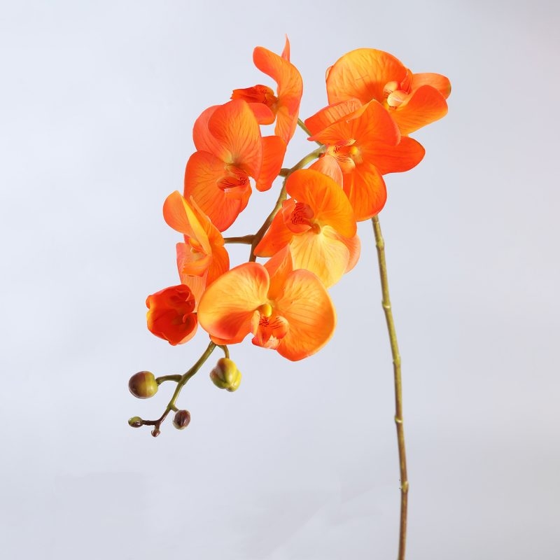 High-quality real touch Phalaenopsis orchid