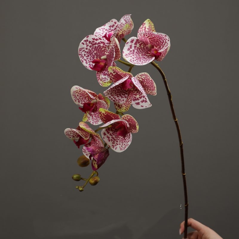 High-quality real touch Phalaenopsis orchid