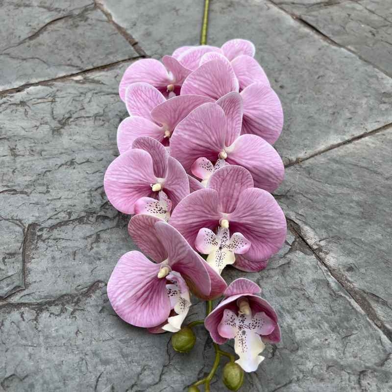 Multi-colored artificial Phalaenopsis orchids with a real touch feel