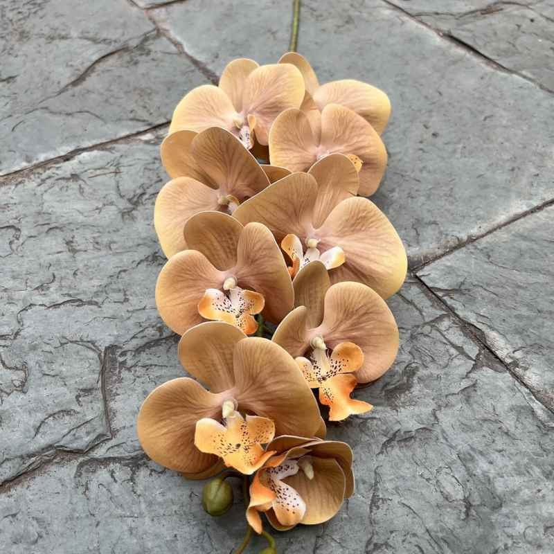 Multi-colored artificial Phalaenopsis orchids with a real touch feel