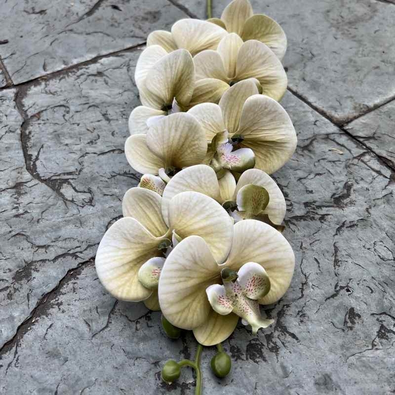 Multi-colored artificial Phalaenopsis orchids with a real touch feel