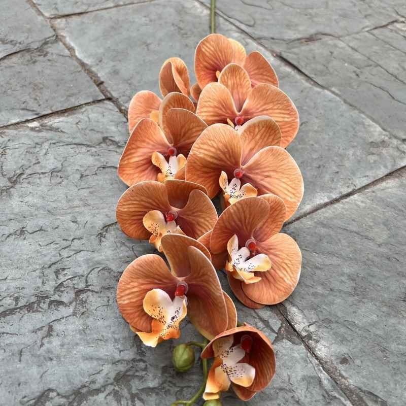 Multi-colored artificial Phalaenopsis orchids with a real touch feel