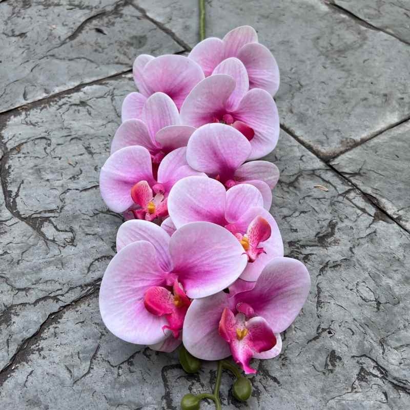 Multi-colored artificial Phalaenopsis orchids with a real touch feel