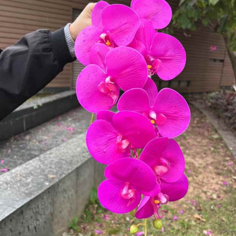 Multi-colored artificial Phalaenopsis orchids with a real touch feel