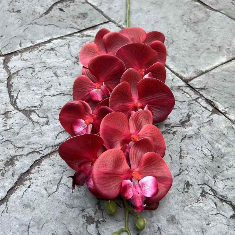 Multi-colored artificial Phalaenopsis orchids with a real touch feel