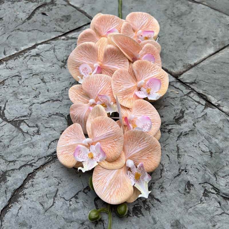 Multi-colored artificial Phalaenopsis orchids with a real touch feel