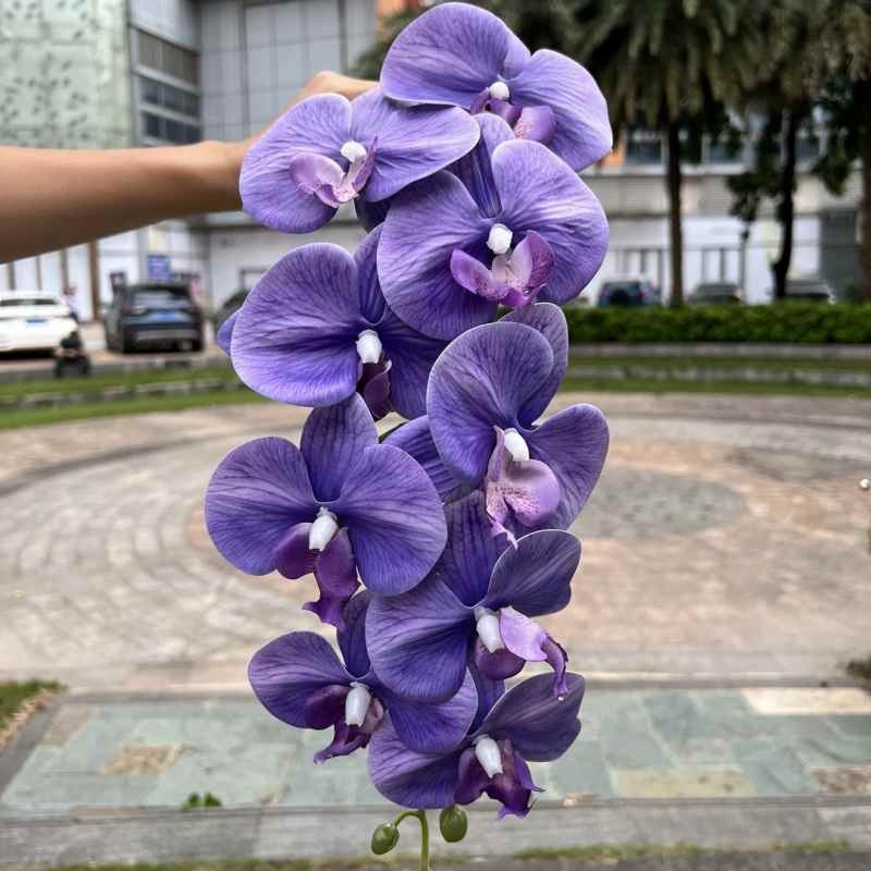 Multi-colored artificial Phalaenopsis orchids with a real touch feel