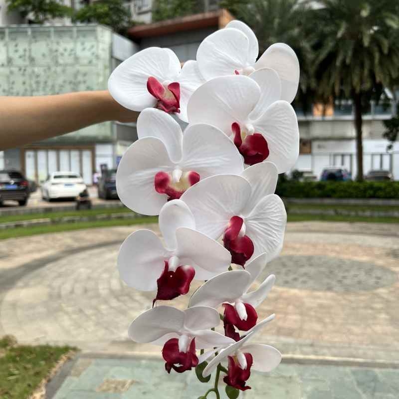 Multi-colored artificial Phalaenopsis orchids with a real touch feel