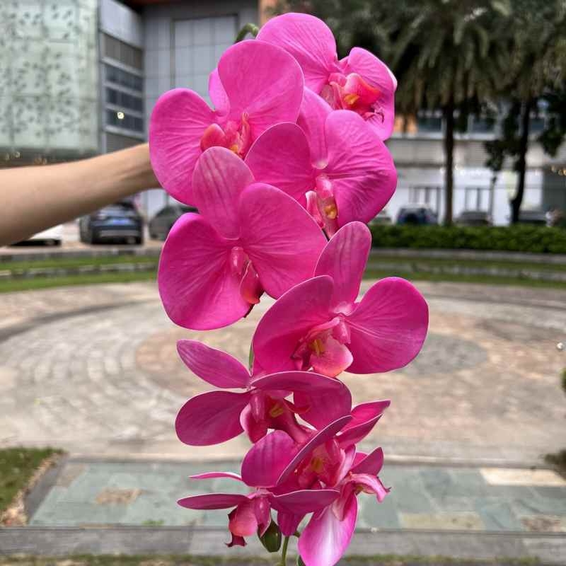 Multi-colored artificial Phalaenopsis orchids with a real touch feel
