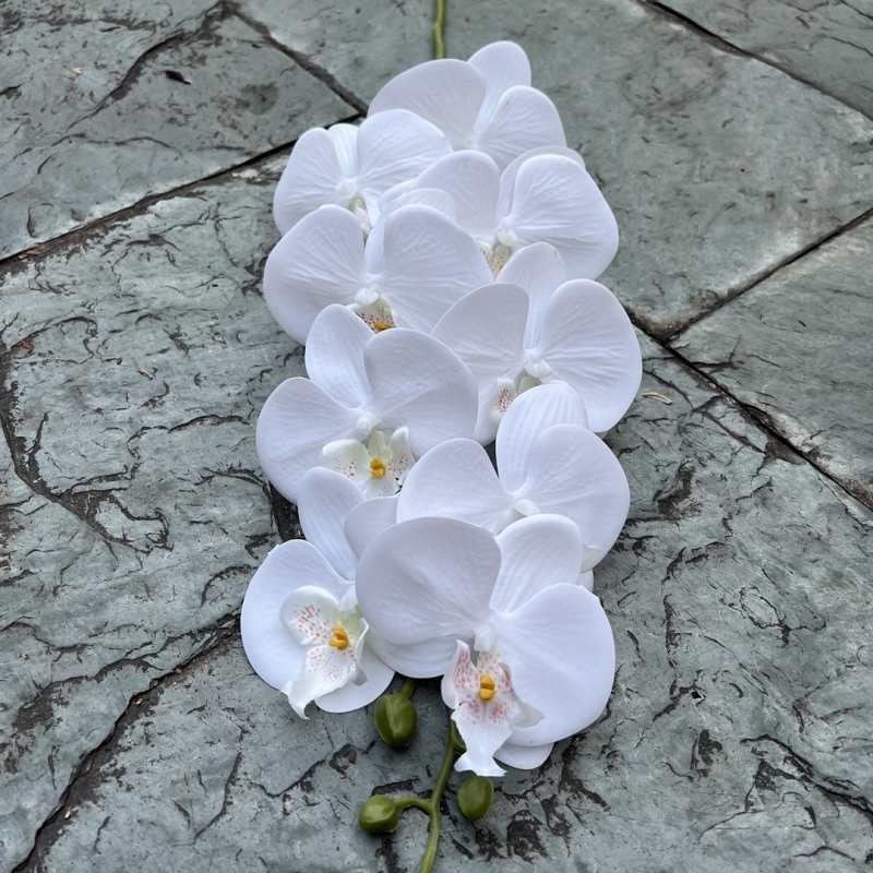 Multi-colored artificial Phalaenopsis orchids with a real touch feel