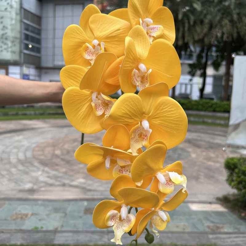 Multi-colored artificial Phalaenopsis orchids with a real touch feel