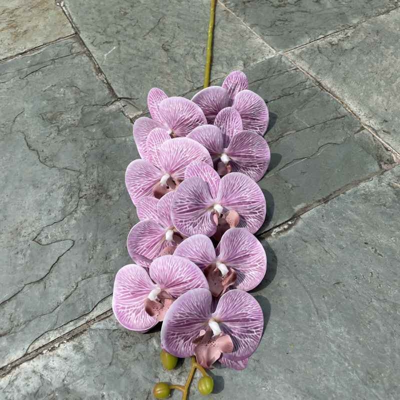 Multi-colored artificial Phalaenopsis orchids with a real touch feel