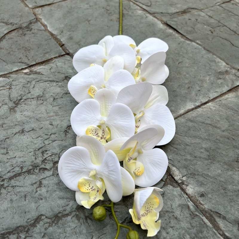 Multi-colored artificial Phalaenopsis orchids with a real touch feel