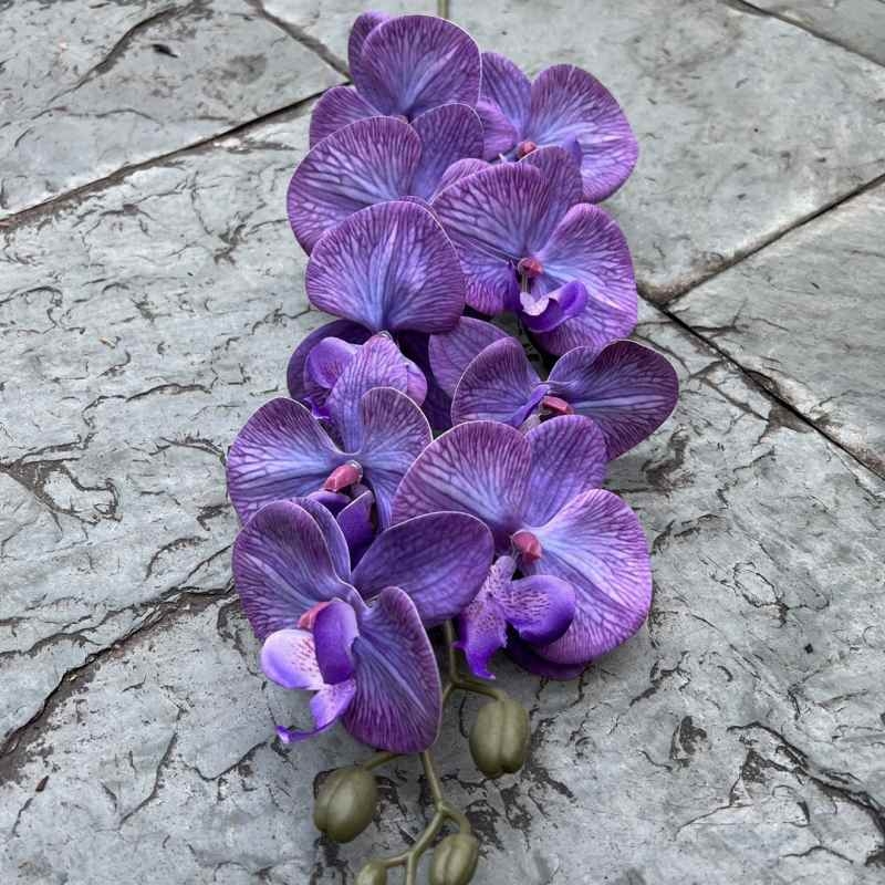 Multi-colored artificial Phalaenopsis orchids with a real touch feel