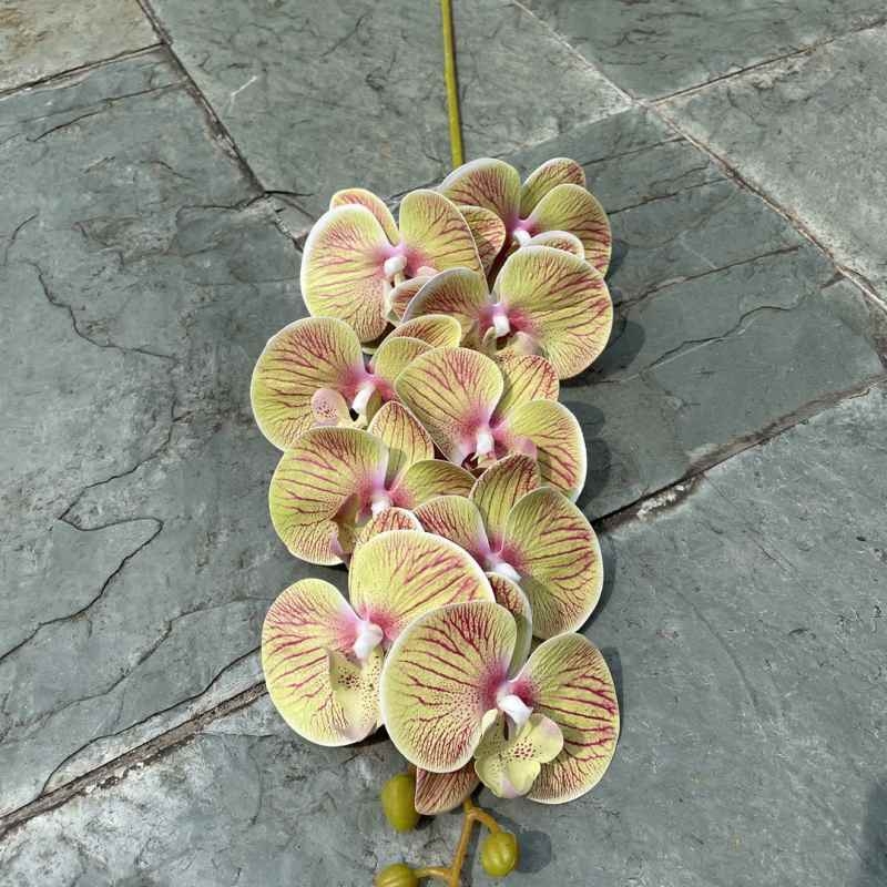 Multi-colored artificial Phalaenopsis orchids with a real touch feel