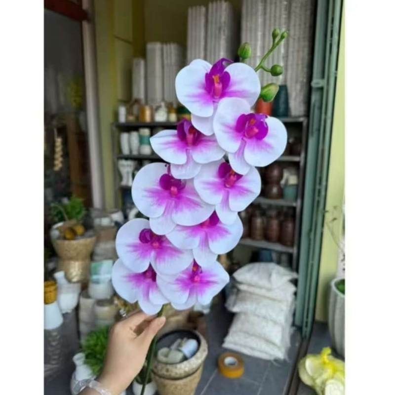 Realistic-looking Phalaenopsis orchid