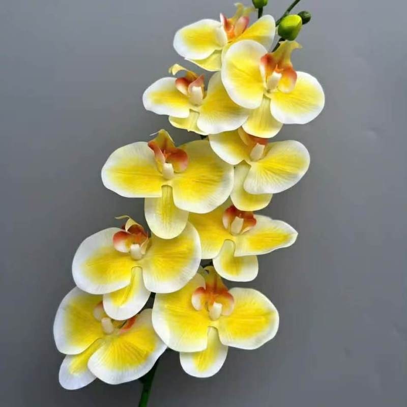 Realistic-looking Phalaenopsis orchid