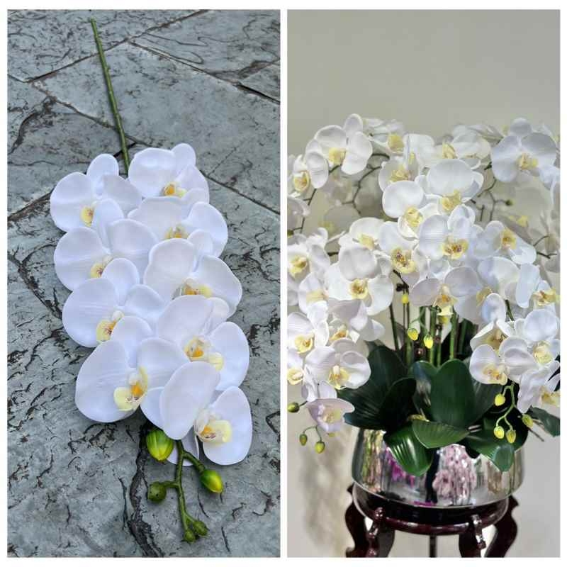 Realistic-looking Phalaenopsis orchid