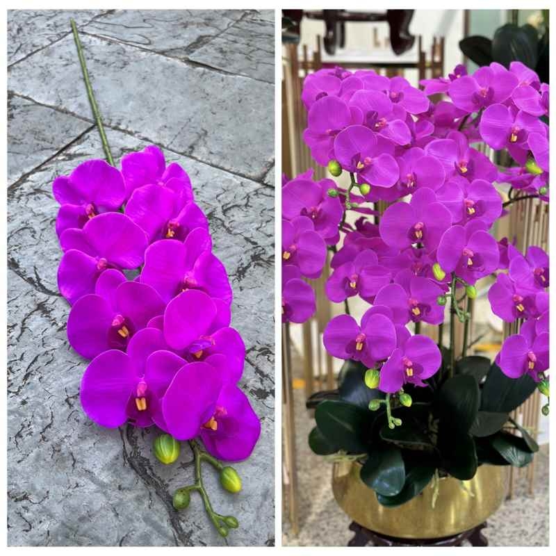 Realistic-looking Phalaenopsis orchid