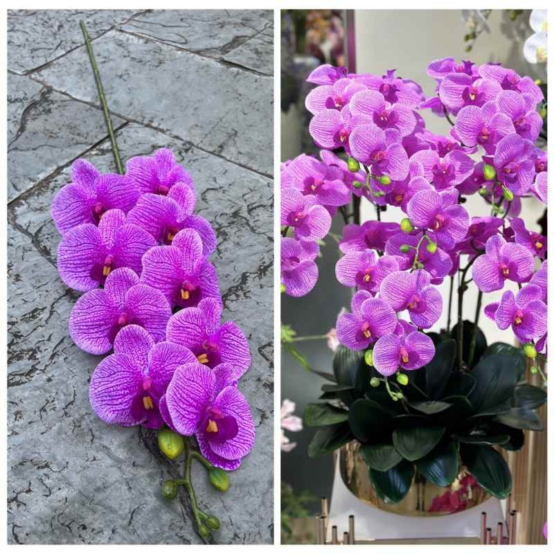 Realistic-looking Phalaenopsis orchid