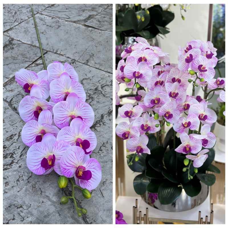 Realistic-looking Phalaenopsis orchid