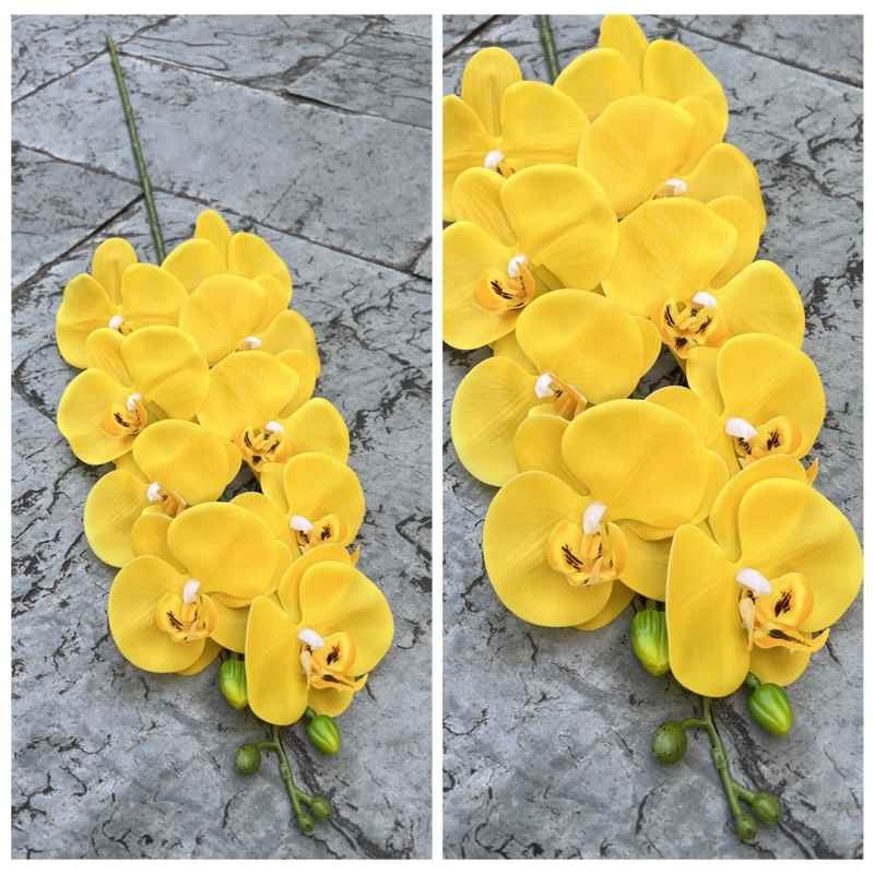 Realistic-looking Phalaenopsis orchid
