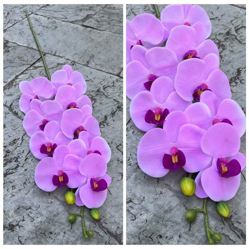 Realistic-looking Phalaenopsis orchid