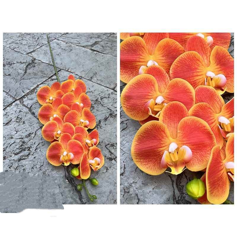 Realistic-looking Phalaenopsis orchid