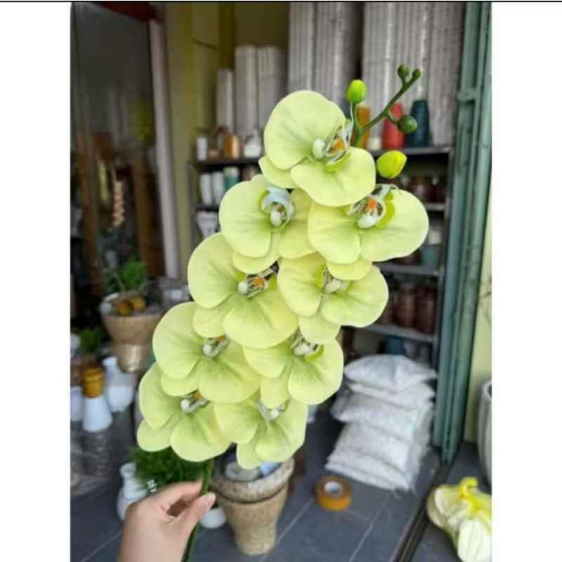 Realistic-looking Phalaenopsis orchid