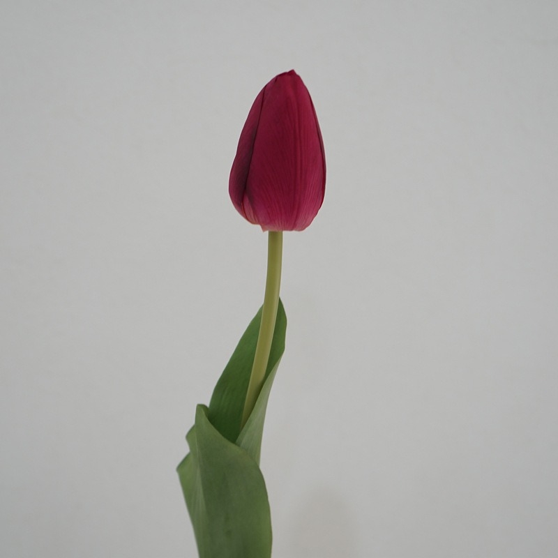 Lifelike artificial tulips