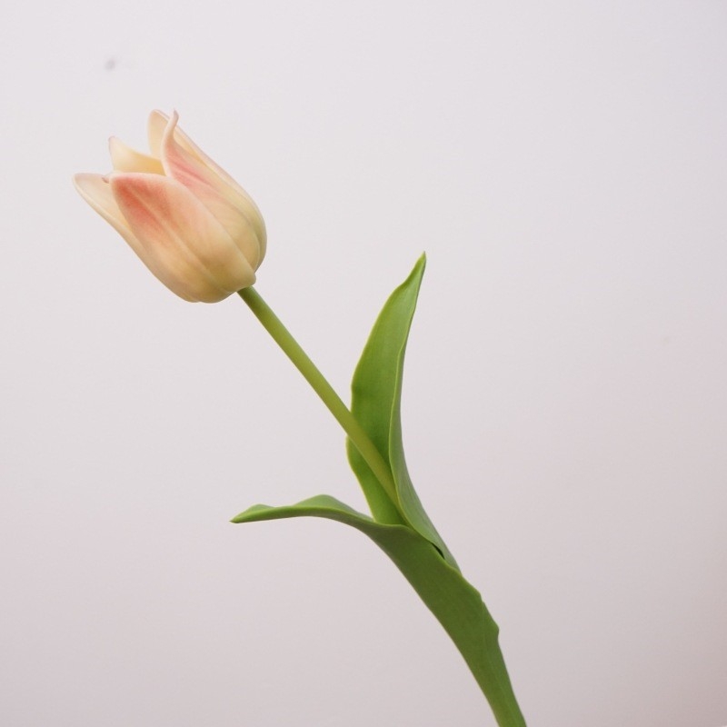 Wholesale of high-quality Faux tulips