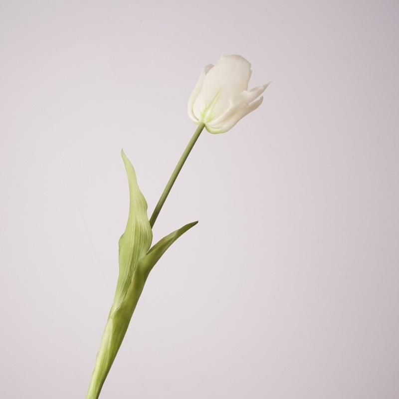 Realistic tulip wholesale