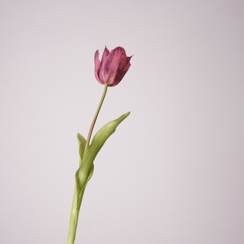 Realistic tulip wholesale