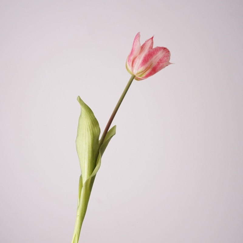Realistic tulip wholesale