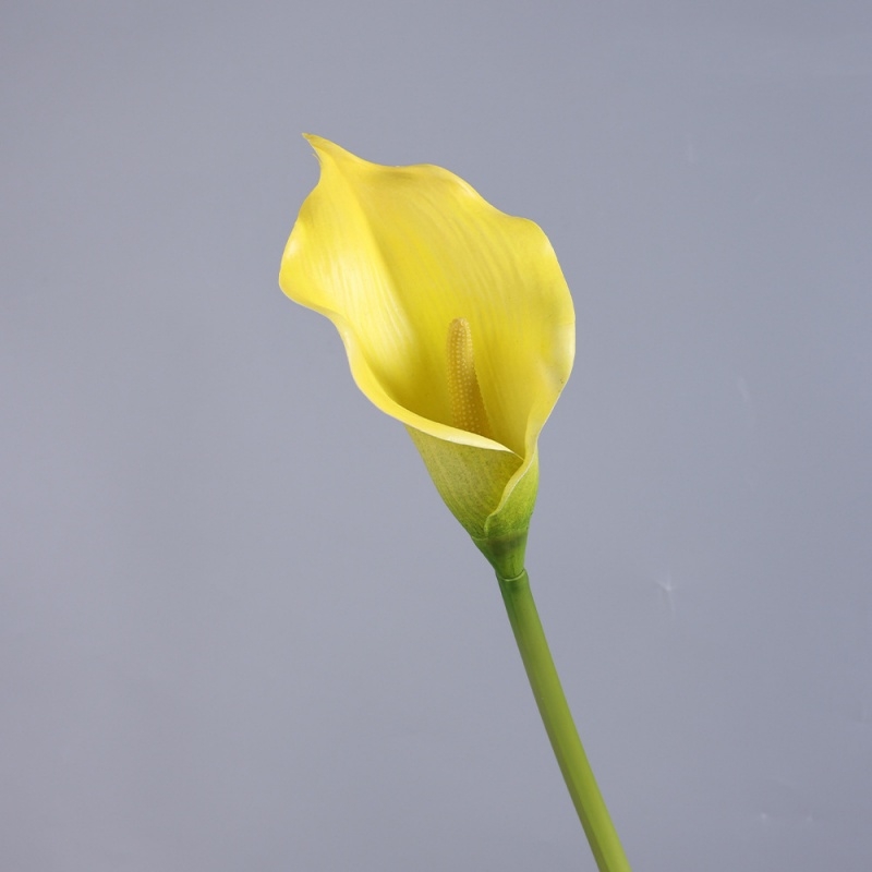 Artificial multi-colored calla lilies