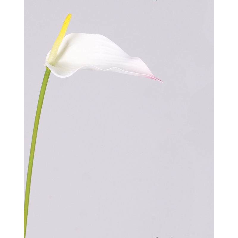 Artificial Anthurium Scherzerianum Stem 72CM