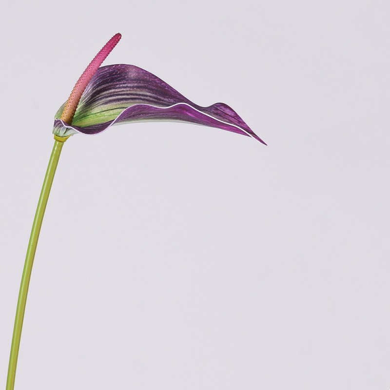 Artificial Anthurium Scherzerianum Stem 72CM