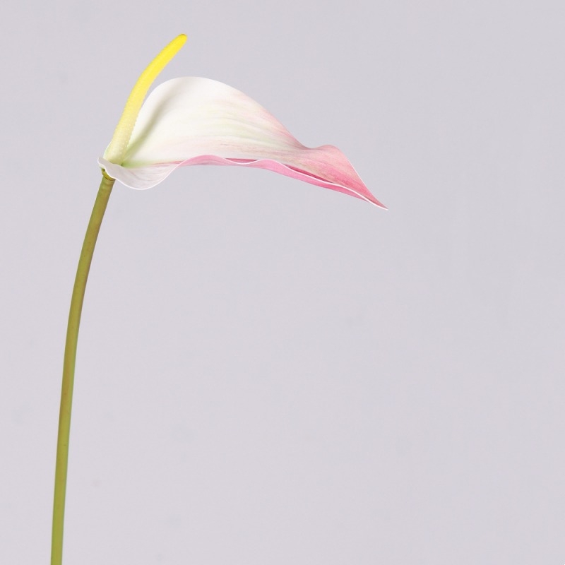 Artificial Anthurium Scherzerianum Stem 72CM