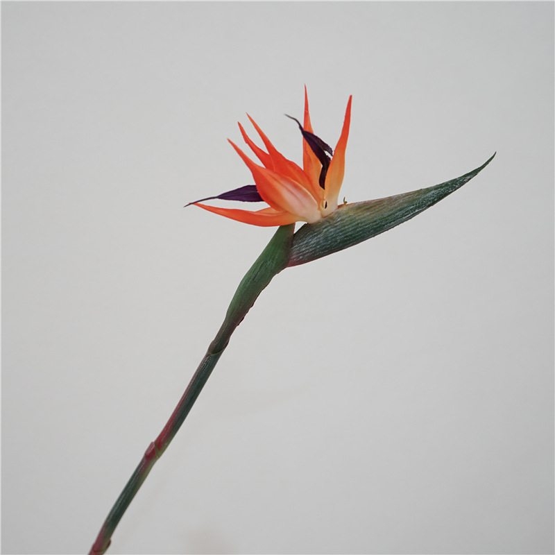 Wholesale of Artificial bird of paradise