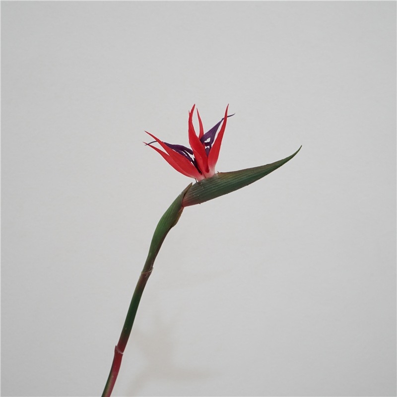 Wholesale of Artificial bird of paradise