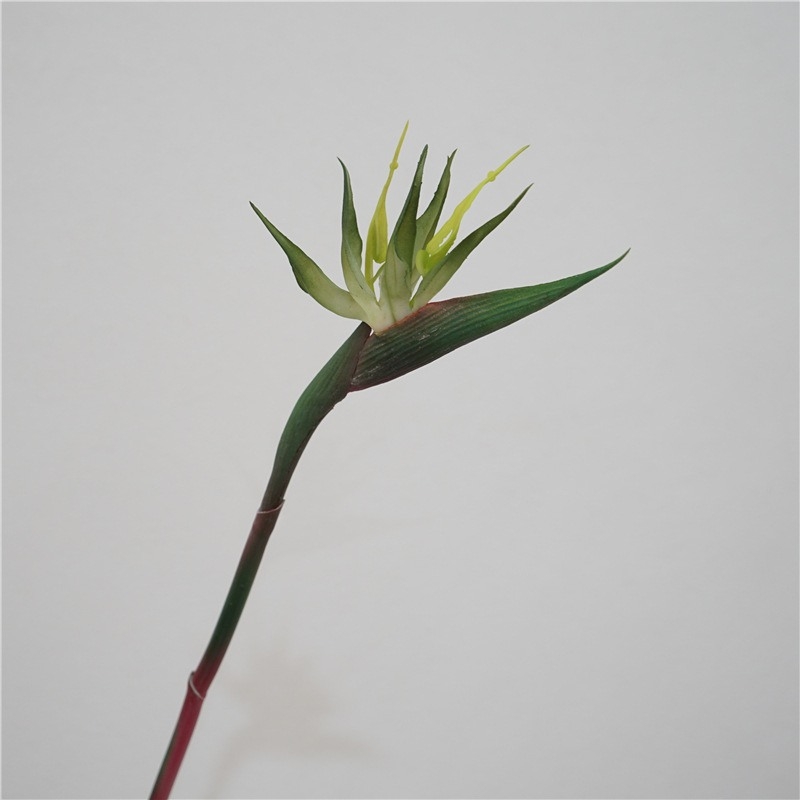 Wholesale of Artificial bird of paradise