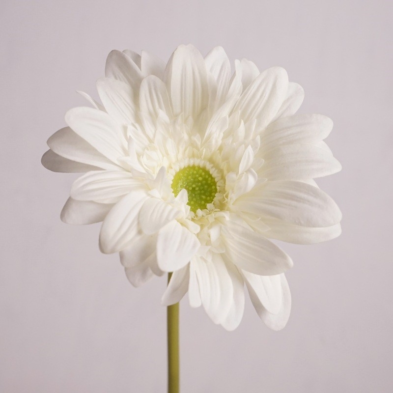 Wholesale Artificial Gerbera Stem – 65cm Long Stem